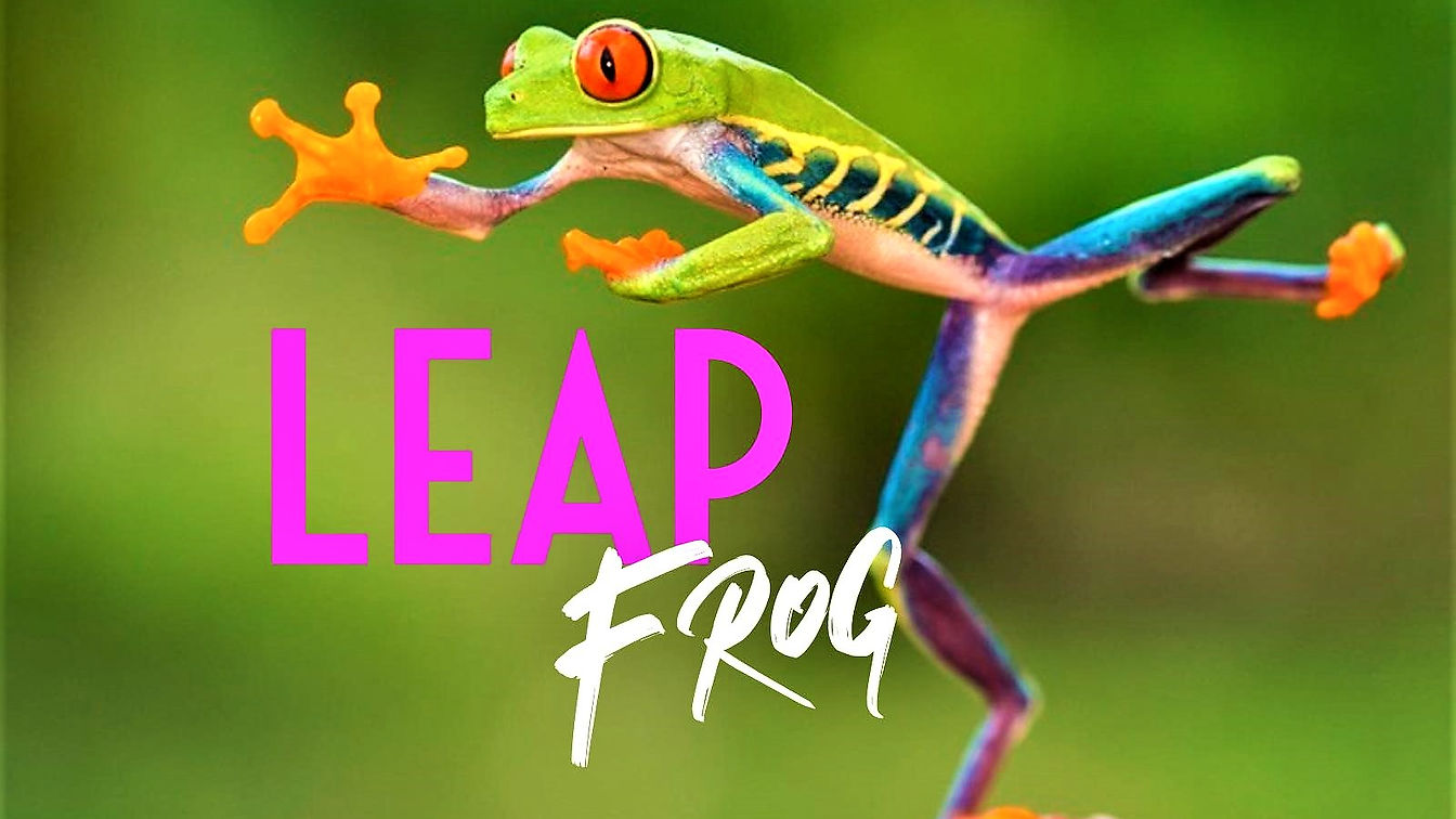 Leap Frog Video Course